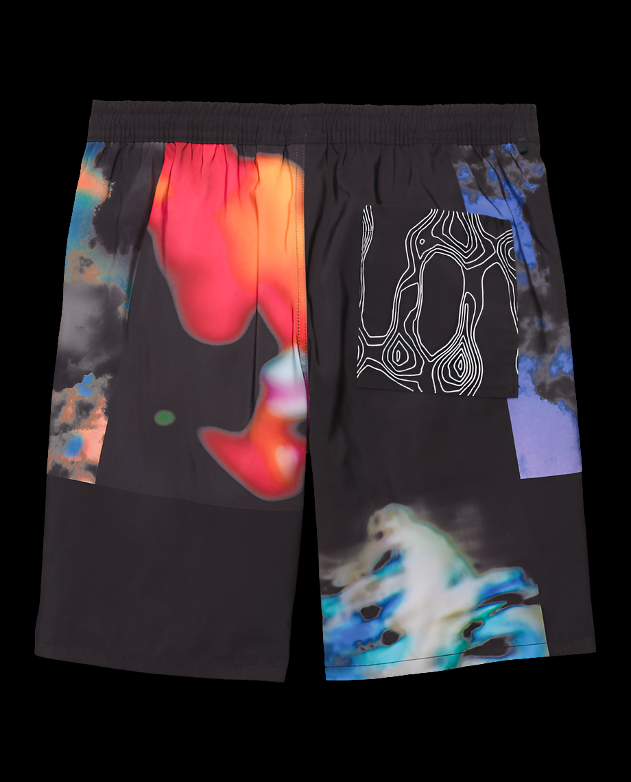 Vans x Quasi Skateboards "Window" elastic waist Ltd edition skate shorts