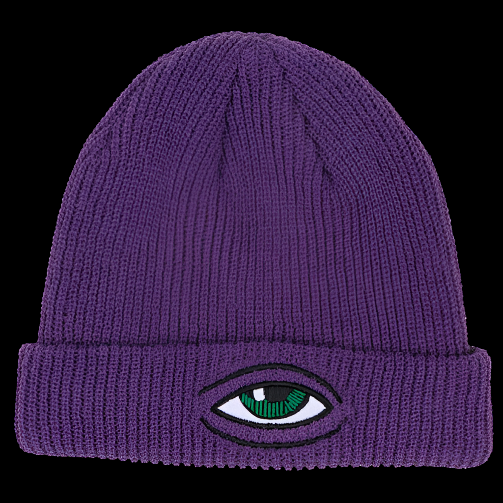 Toy Machine Sect Eye Dock Purple Beanie