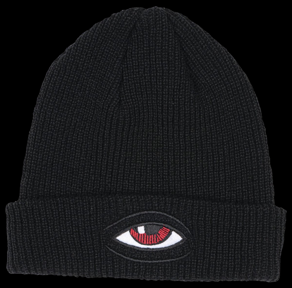 Toy Machine Sect Eye Dock Black Beanie