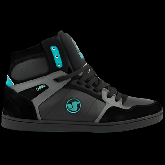 DVS Honcho Hi-top Black/ Turquoise Blue skate shoes