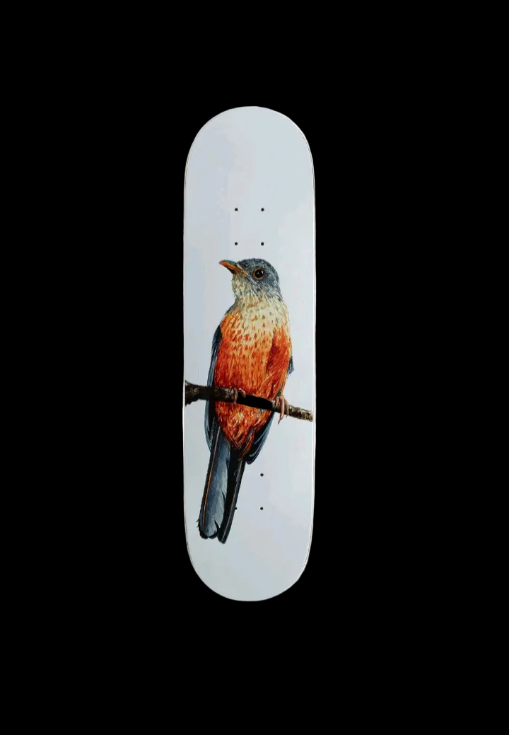 Deathwish Skateboards Sabia-Laranjeira Facchini Pro Skate Deck 8.1